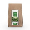 MORINGA 100% Bio Blätter-Tee pur